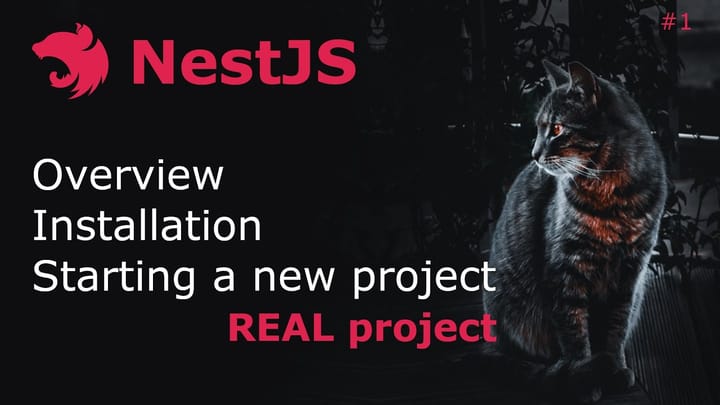 How to Set Up Your First NestJS Project